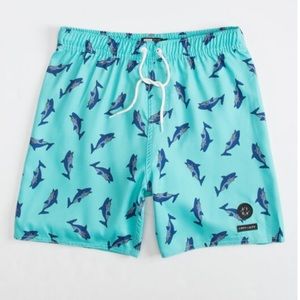 LIRA Shark Boys Volley Shorts
Boys XL (fits mens small)
mint 
NWOT